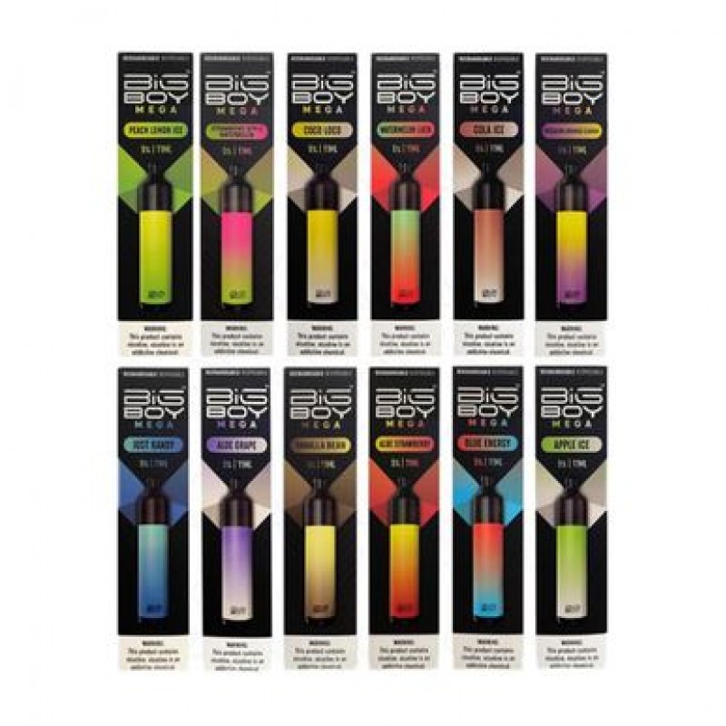 Big Boy Mega Rechargeable Disposable | 5000 Puffs ...