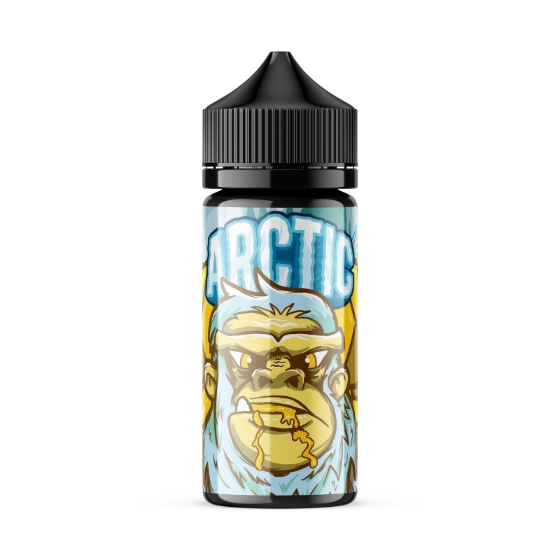 ARCTIC | Mean Mango 100ML eLiquid